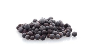 blueberry big berries mexico