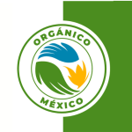 certificacion organico mexico bigberries mexico
